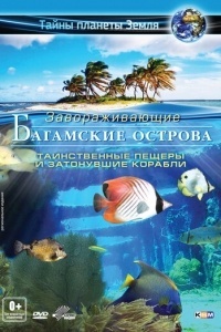 Багамские острова 3D: Таинственные пещеры и затонувшие корабли