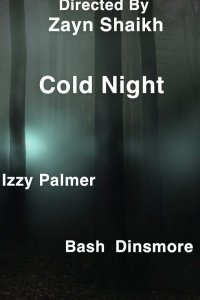 Холодная ночь