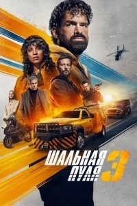 Шальная пуля 3